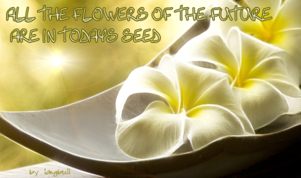 all the flowers of the future  are in todays seed ok