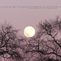 Full Moon ~ Au champ de l'Univers tu cueilleras ce que tu sèmes...